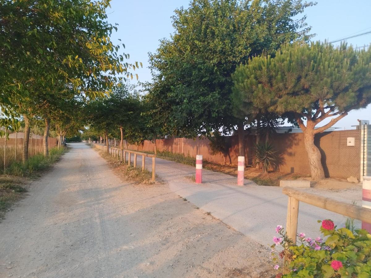 Apartamento Sol 치피오나 외부 사진