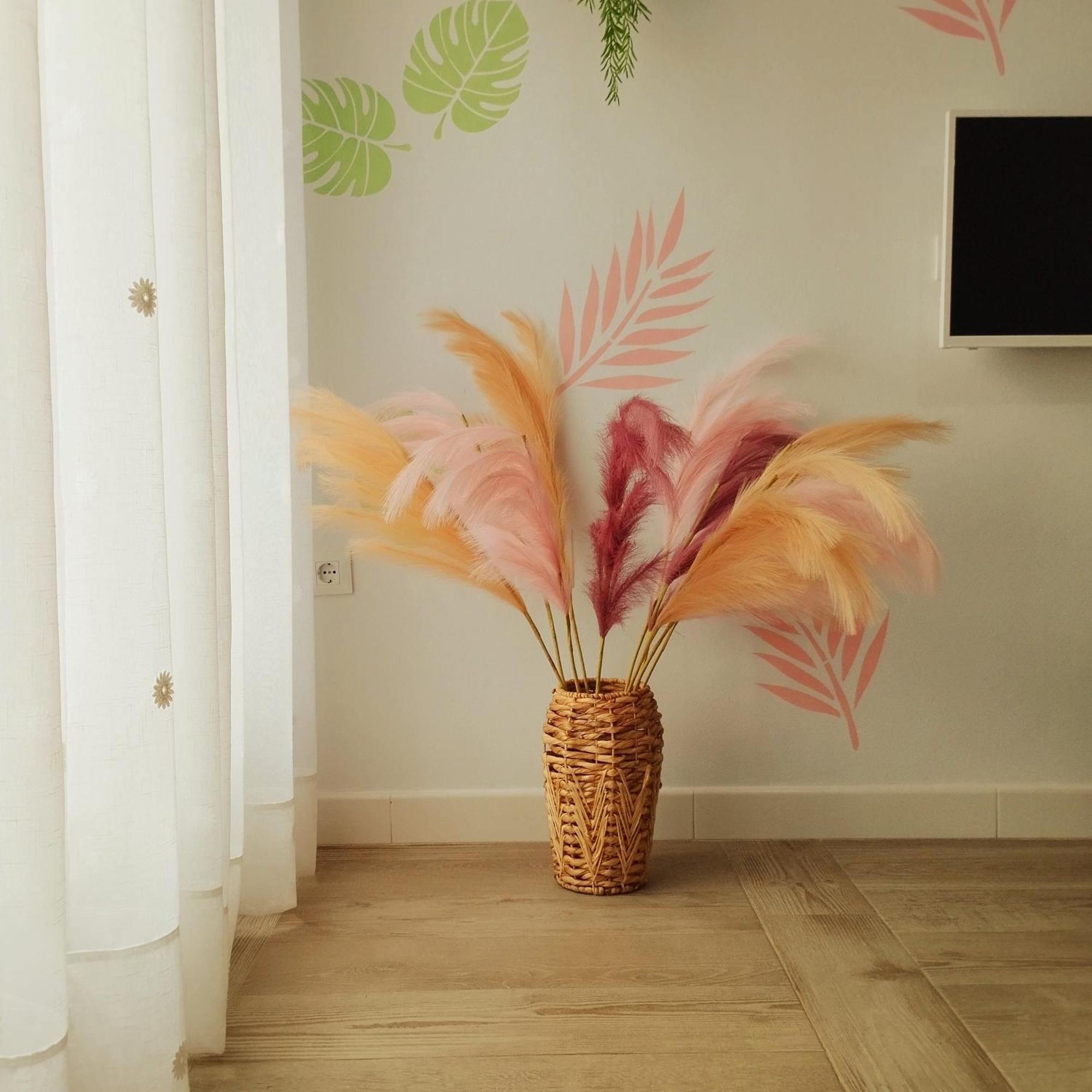 Apartamento Sol 치피오나 외부 사진